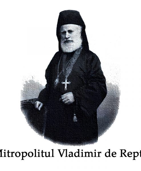 vladimir_de_repta_site